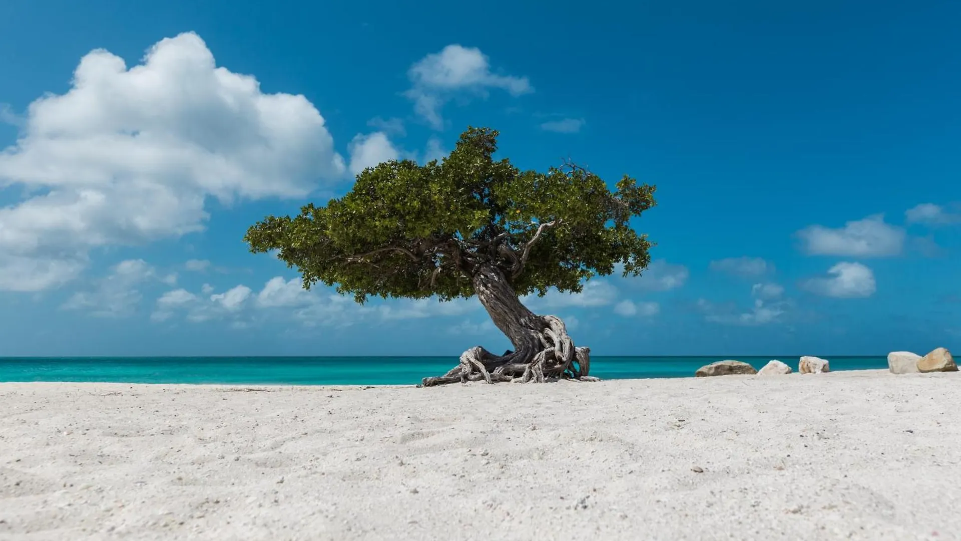 Little Paradise Noord